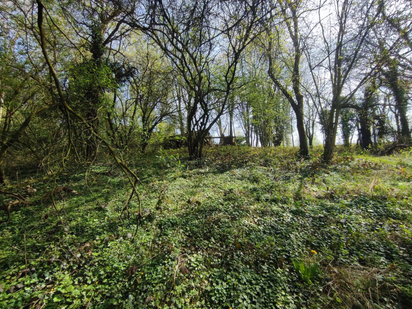 L&rsquo;école du dehors à Flémalle
