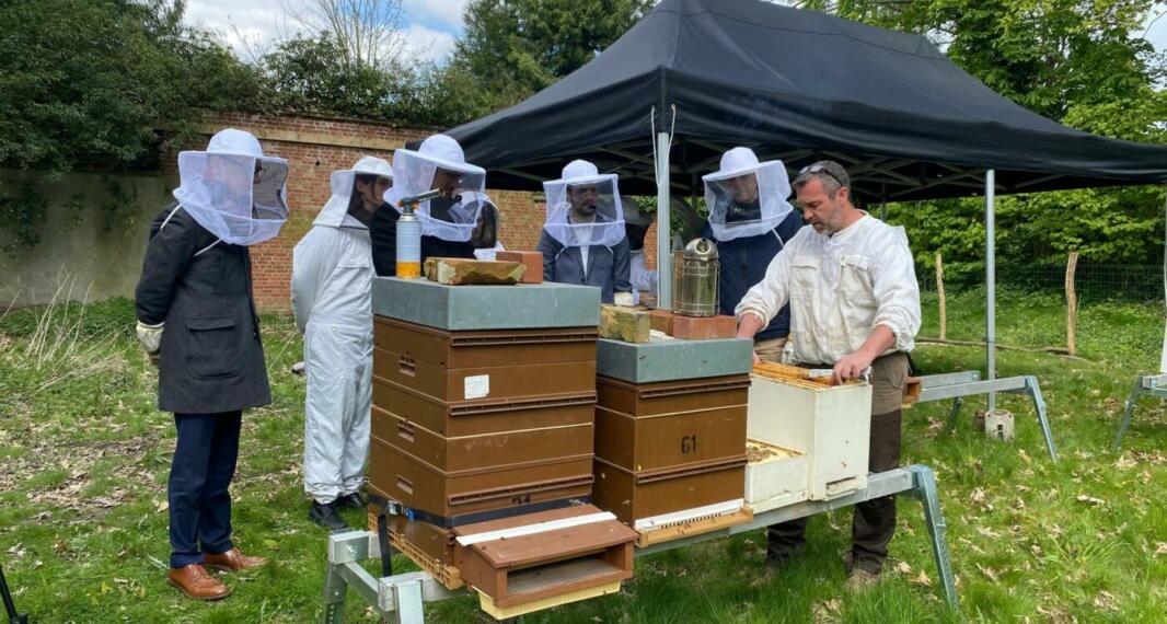 Des ruches pour monitorer la qualité de l’air autour de l’aéroport de Charleroi
