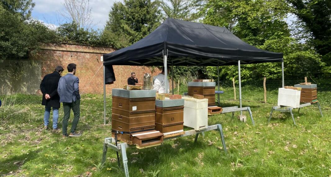 Journée internationale de l&rsquo;abeille