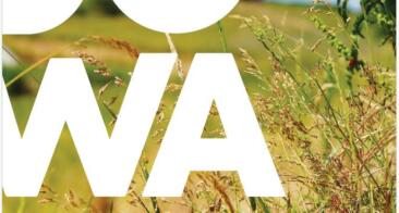 Notre rapport d&rsquo;activités 2024 est en ligne !