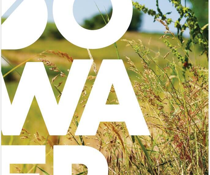 Notre rapport d&rsquo;activités 2024 est en ligne !